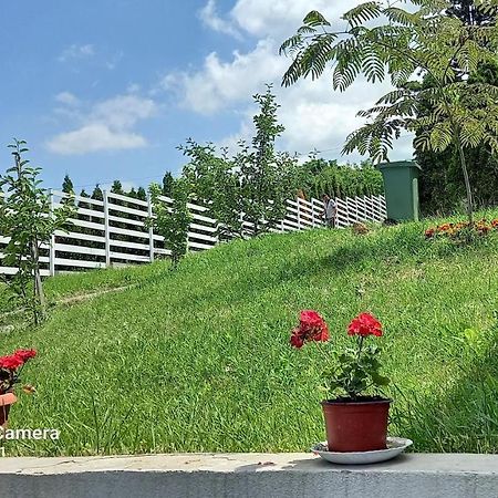 Fruskogorska Idila Apartmani Vrdnik Ngoại thất bức ảnh